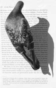 Pigeon Reader by Simon Morris (Photo Credit: Peter Heaton). 