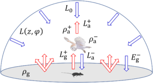 A schematic representation of an owl hunting a rodent at night, illustrating the interplay of radiometric quantities affecting camouflage. The owl's white underparts reflect light, while the diagram shows arrows representing light from the moonlit sky, ground reflectance, and other radiometric factors, demonstrating how the owl blends into the background. The rodent, depicted below the owl, observes the scene. Various mathematical symbols label radiometric quantities, including sky radiance, ground reflectance, and light interactions.